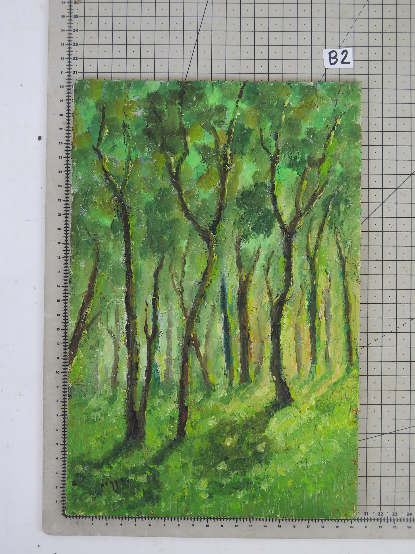 Quadro ad olio firmato Poggio opera del pittore piemontese Giacomo Poggio anni '60 paesaggio boschivo verde intenso X1