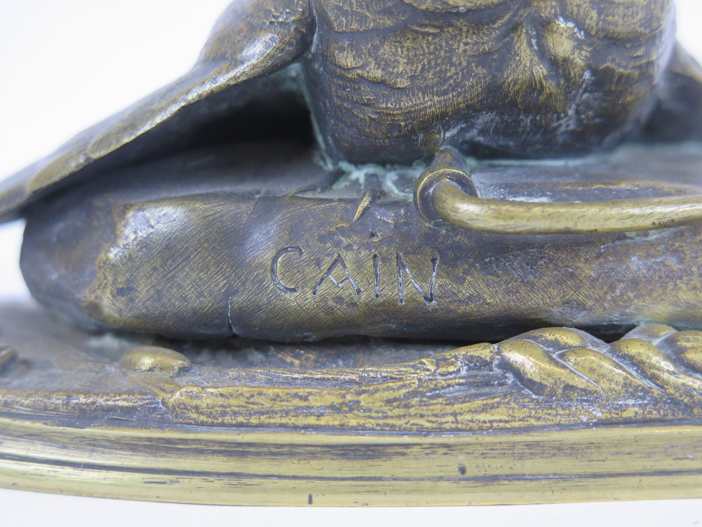 Scultura in bronzo opera dello scultore francese Auguste Cain noto per la sue opere animalier e monumenti soprattutto in Francia. Questa piccola opera di grande finezza firmata CAIN raffigura un uccellino in trappola.