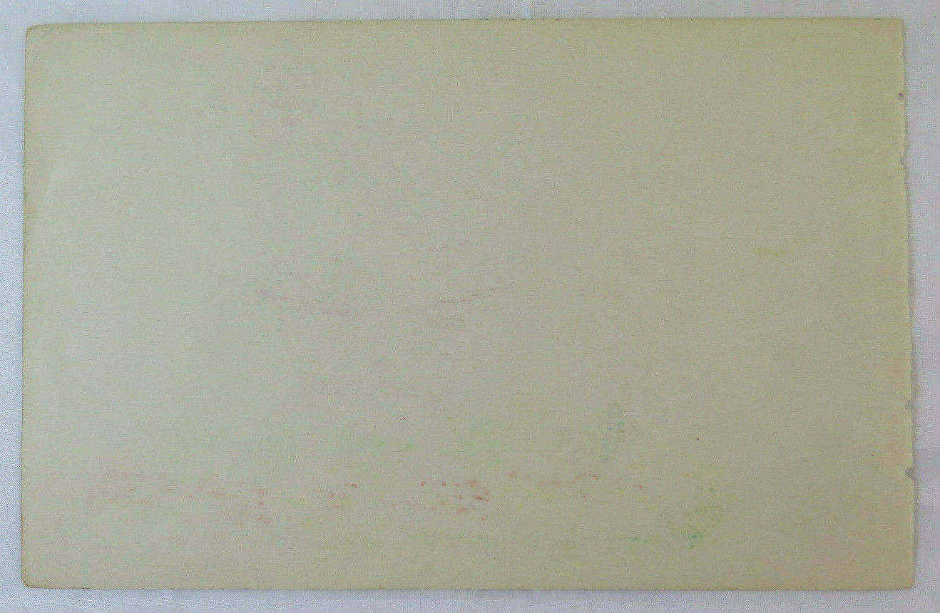 ANTIQUE DRAWING SIGNED BISCHOFF 1940s ALPINE LANDSCAPE SWITZERLAND ALPS BM53.2