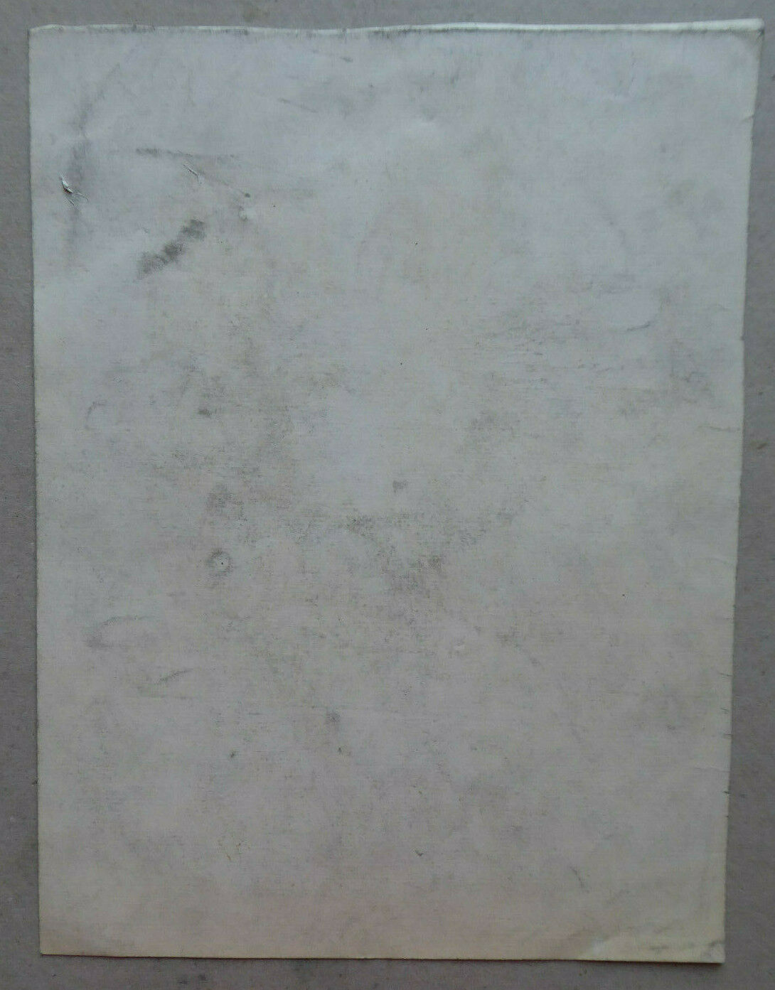 VECCHIO DISEGNO SOGGETTO FLOREALE CARDO DA COLLEZIONE SPAGNOLA MADRID MD10 - Belbello Antiques