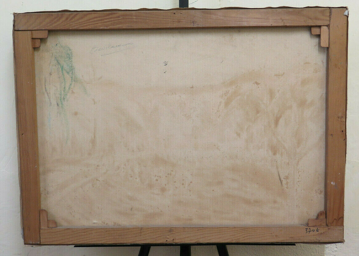 QUADRO OLIO SU TELA VECCHIO DIPINTO VINTAGE PAESAGGIO ALPI ALPINO FIRMATO BM52