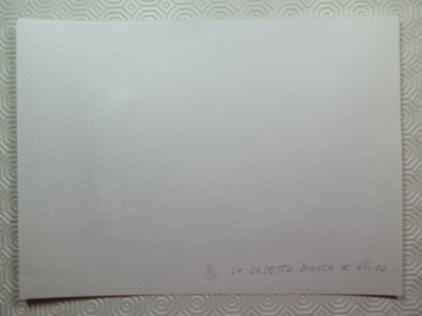 QUADRO DIPINTO AD ACQUERELLO FIRMATO PAESAGGIO DELLA CAMPAGNA EMILIANA P28M