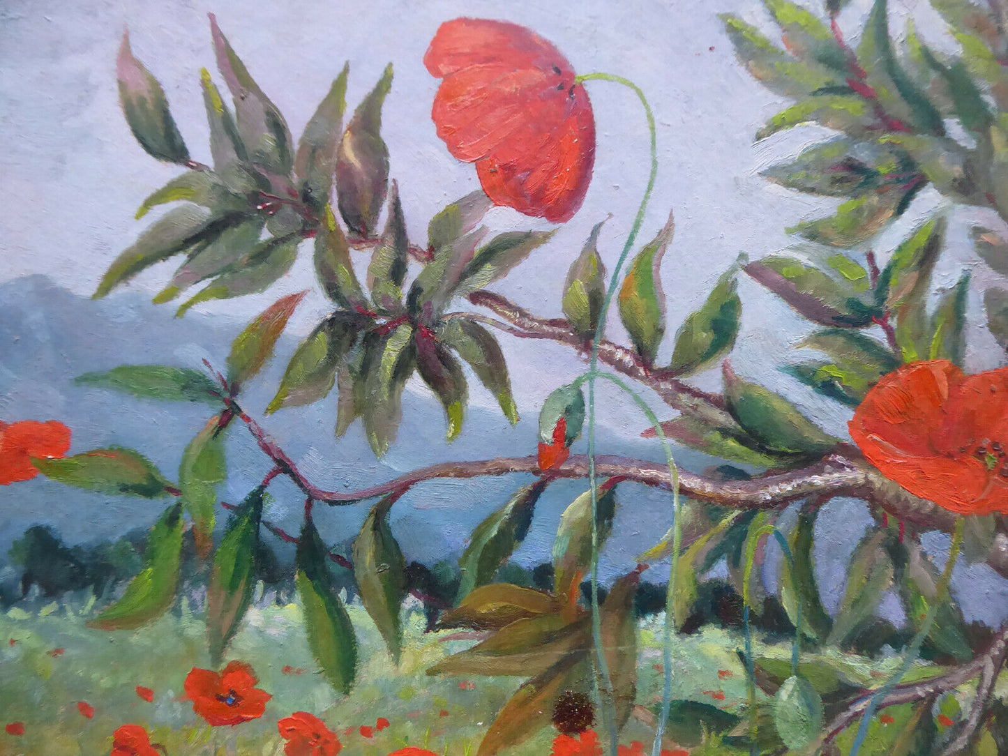 OLD OIL PAINTING RETIRO PARK OF MADRID SIGNED AND POPPY LANDSCAPE MD2