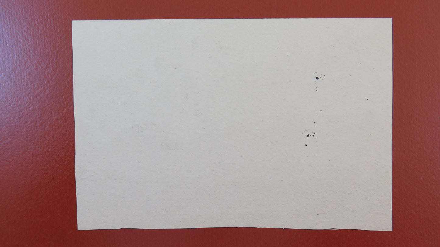 ANCIENT INKA DRAWING OF EXTRAORDINARY FINENESS LANDSCAPE CASTLE BM53.5E