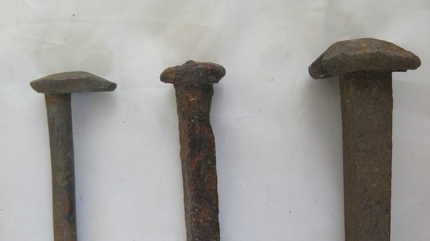 TRE GRANDI CHIODI IN FERRO BATTUTO CON DUE ASTE PER APPENDERE OGGETTI CH3