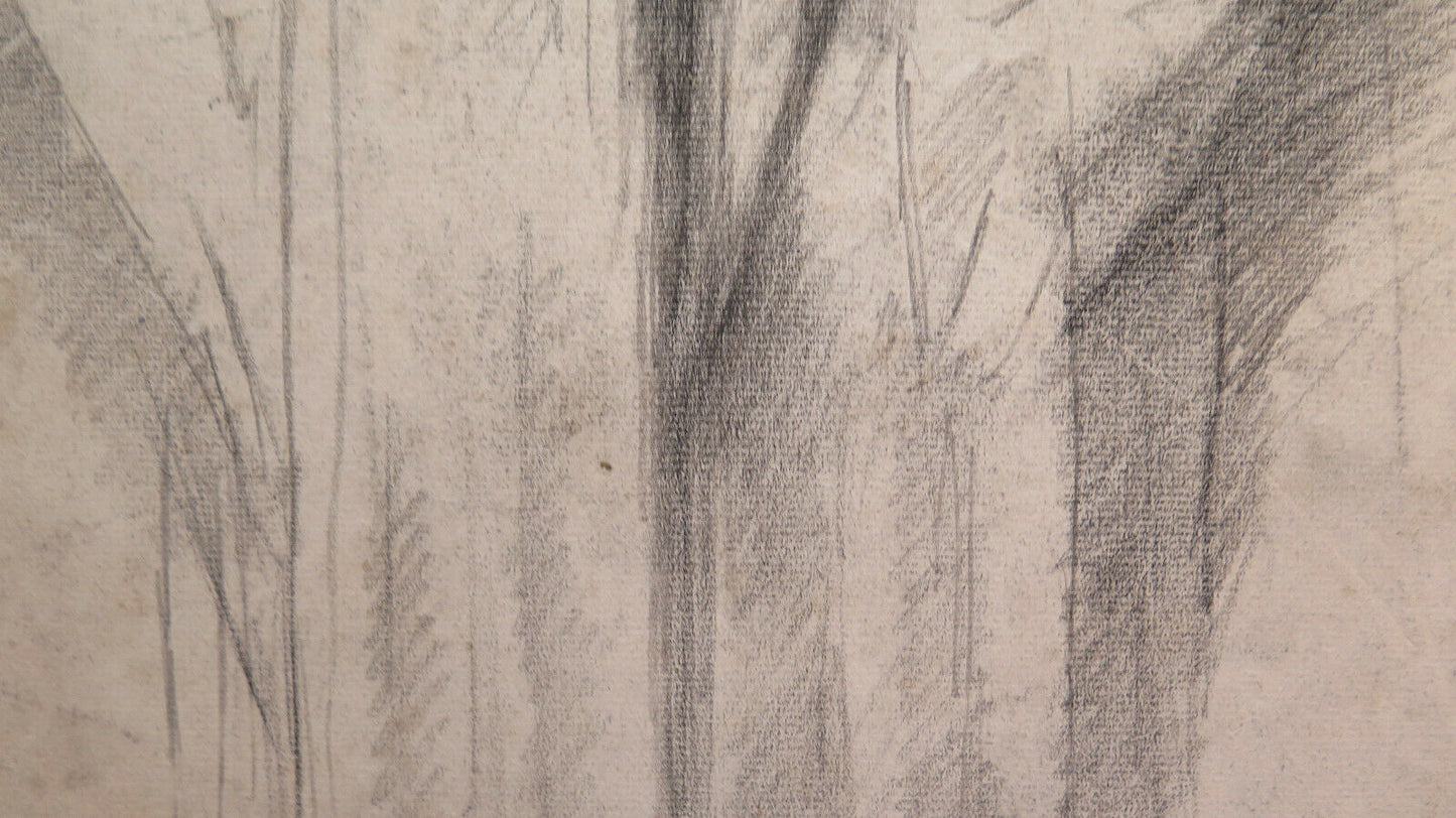 LARGE SKETCH ON UNFINISHED PAPER PORTRAIT WORK Pierre Duteurtre DUT BM53.1 