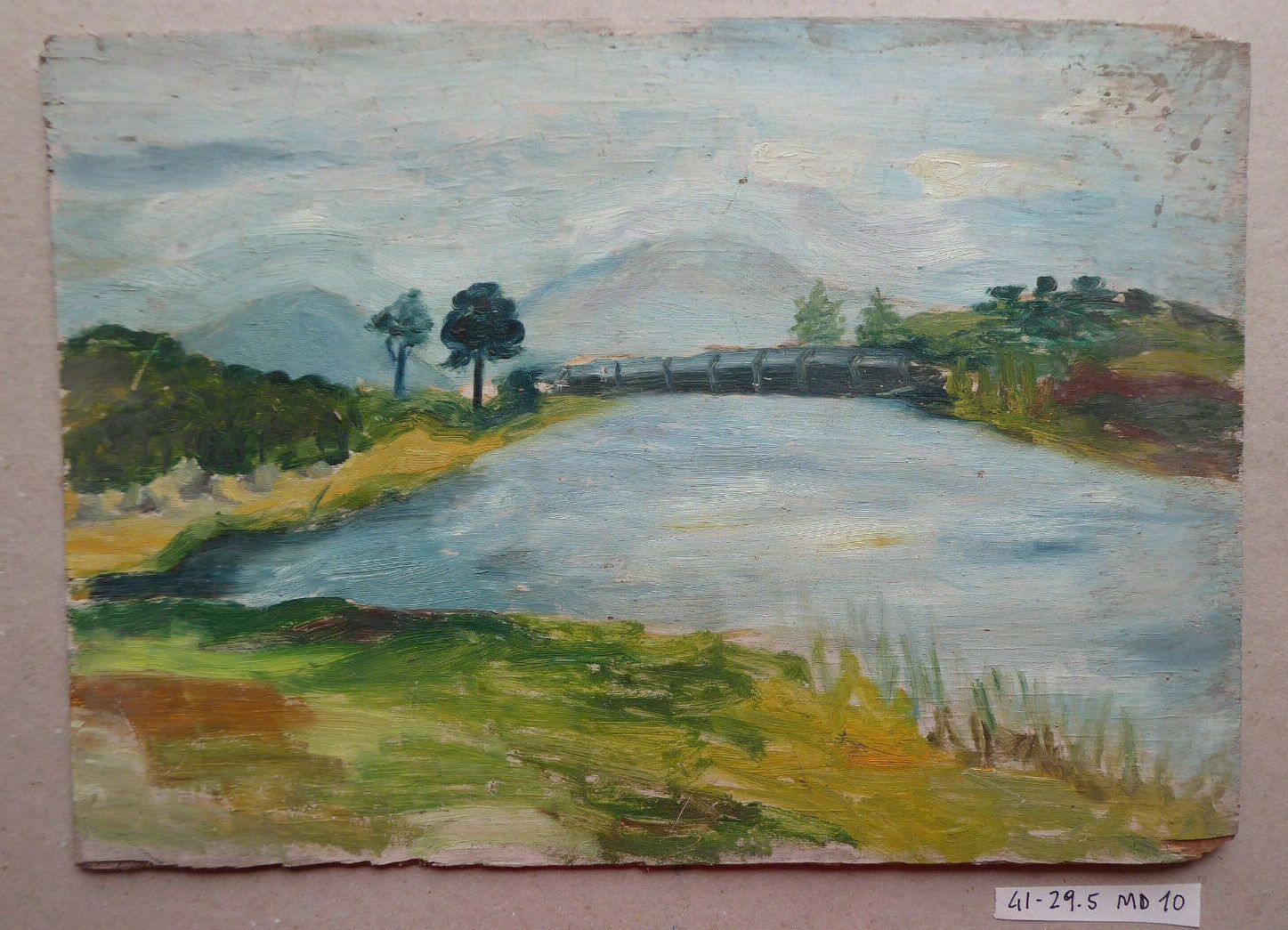41x29cm VECCHIO QUADRO AD OLIO SU TAVOLA PAESAGGIO DI CAMPAGNA SPAGNA '900 MD10 - Belbello Antiques