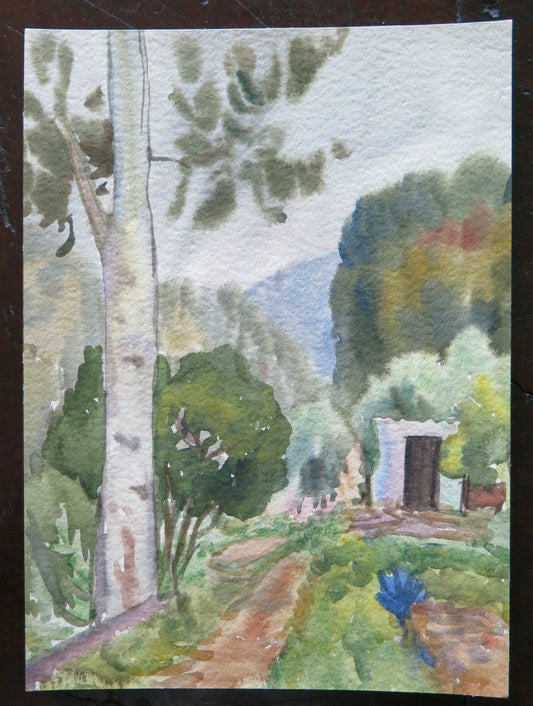 BOZZETTO STUDIO PREPARATORIO PER QUADRO DIPINTO AD ACQUERELLO VINTAGE P14