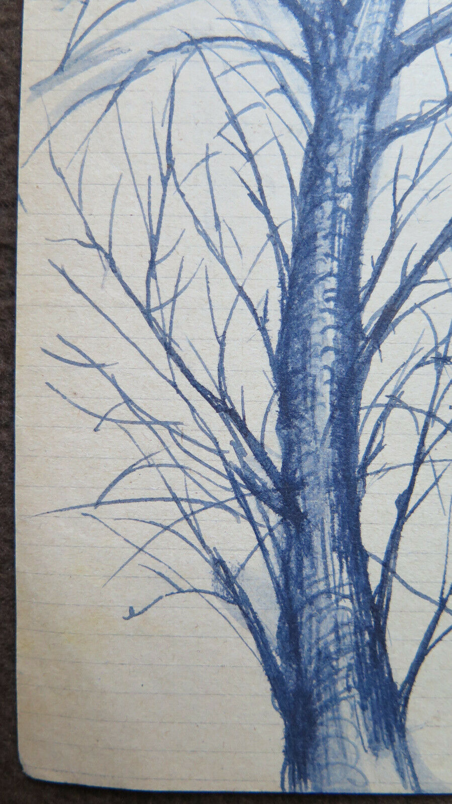 ANTIQUE SKETCH PEN ON PAPER 1940s DRAWING SKETCH TREE TRUNK P28.6