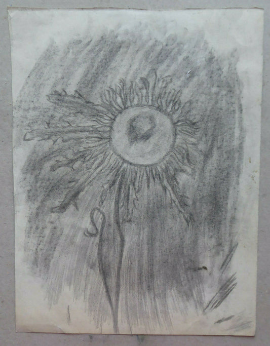 VECCHIO DISEGNO SOGGETTO FLOREALE CARDO DA COLLEZIONE SPAGNOLA MADRID MD10 - Belbello Antiques