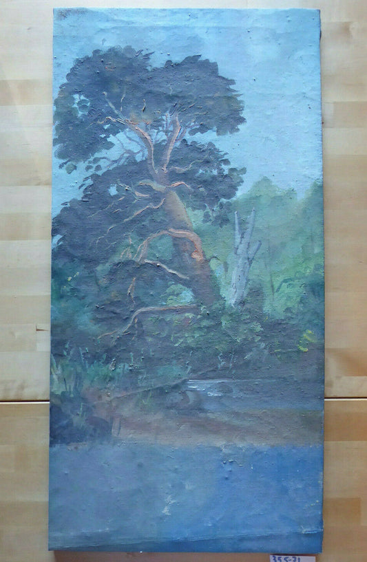 OLD PAINTING SPANISH LANDSCAPE OIL PAINTING ON CANVAS SPAIN PAINTING EUROPE MD8 