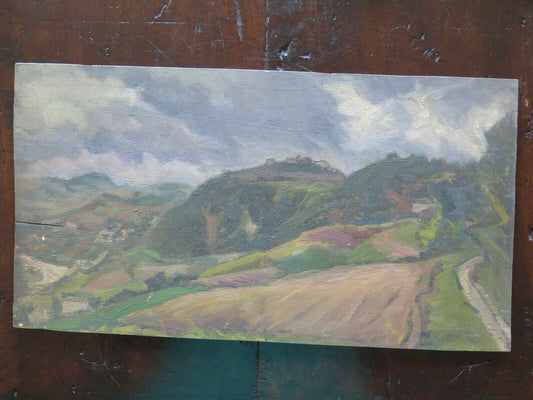 QUADRO AD OLIO SU TAVOLA PAESAGGIO CAMPI GAETANO PANCALDI PITTORE MODENA P18