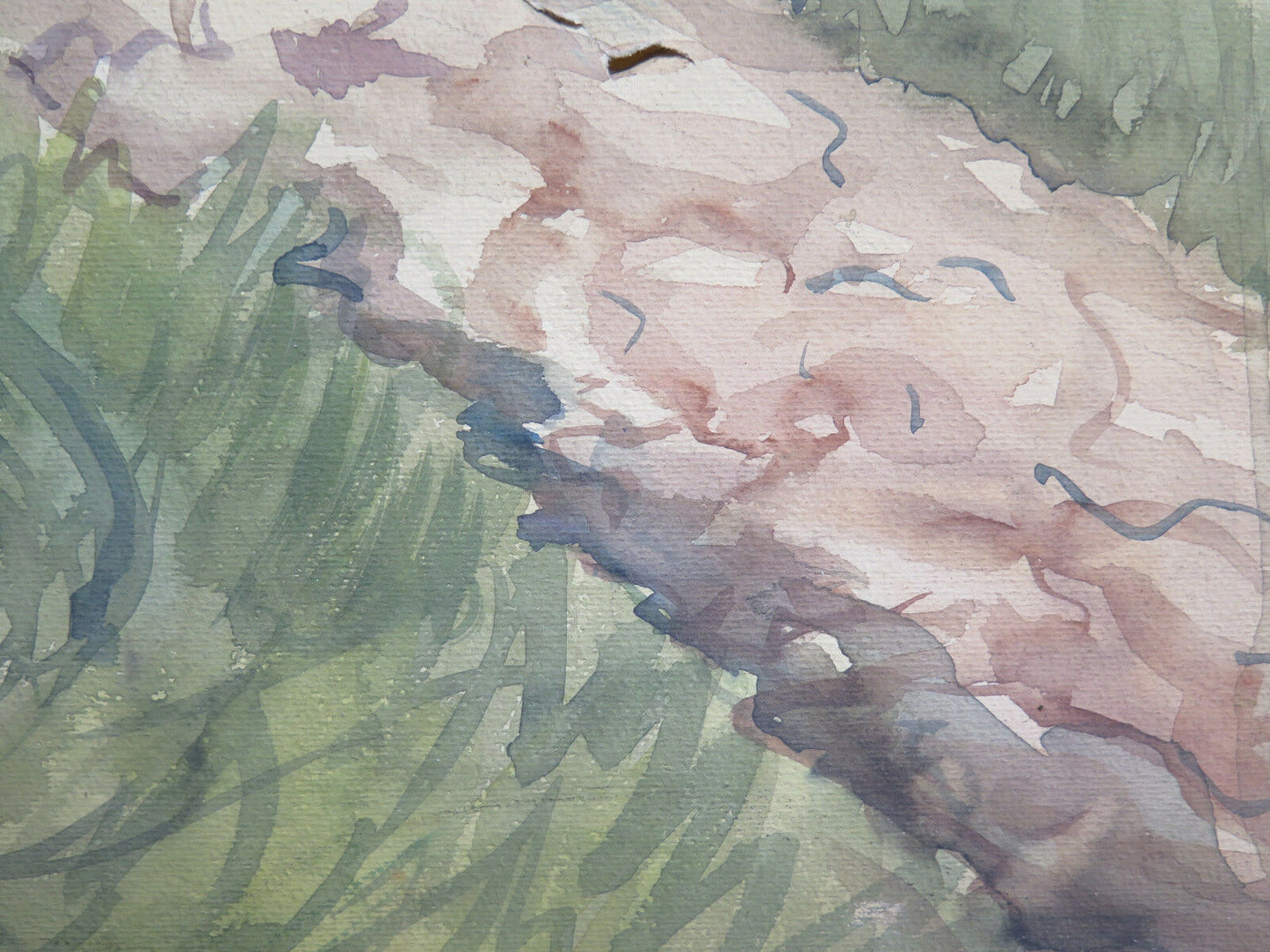 QUADRO ANTICO DIPINTO AD ACQUERELLO PAESAGGIO DI CAMPAGNA CON GARANZIA P27