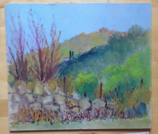 PICCOLO QUADRO AD OLIO SU TAVOLA VECCHIO VINTAGE PAESAGGIO CAMPAGNA SPAGNA MD1