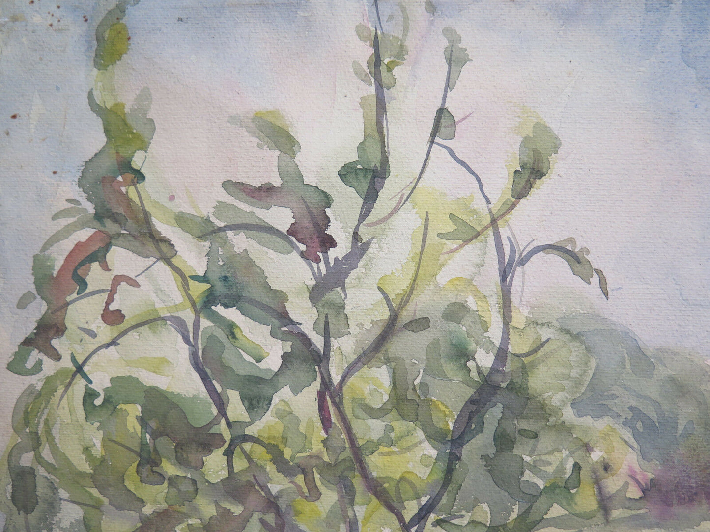 QUADRO ANTICO DIPINTO AD ACQUERELLO PAESAGGIO DI CAMPAGNA CON GARANZIA P27