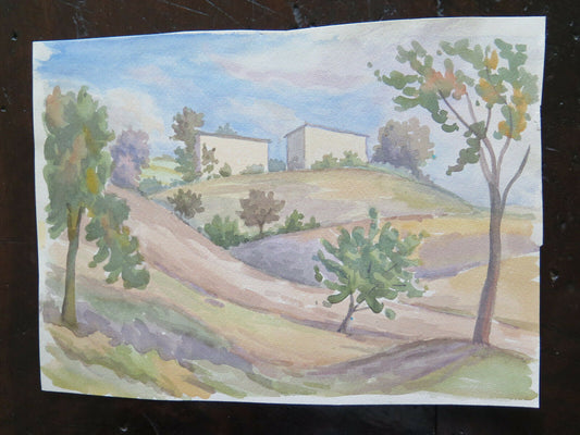 DIPINTO AD ACQUERELLO SU CARTA DEL MAESTRO G. PANCALDI PAESAGGIO PRIMAVERA P14