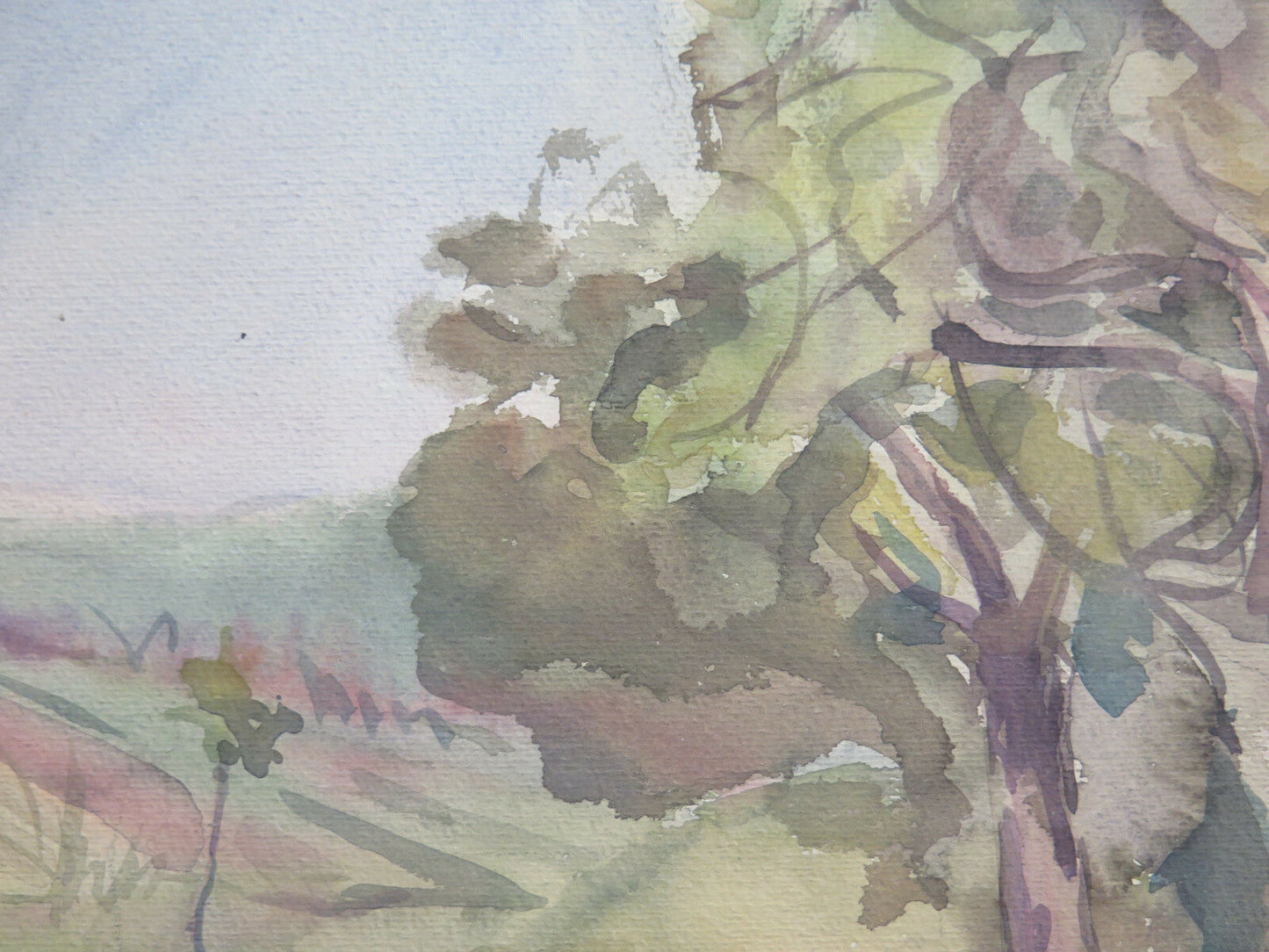 QUADRO ANTICO DIPINTO AD ACQUERELLO PAESAGGIO DI CAMPAGNA CON GARANZIA P27