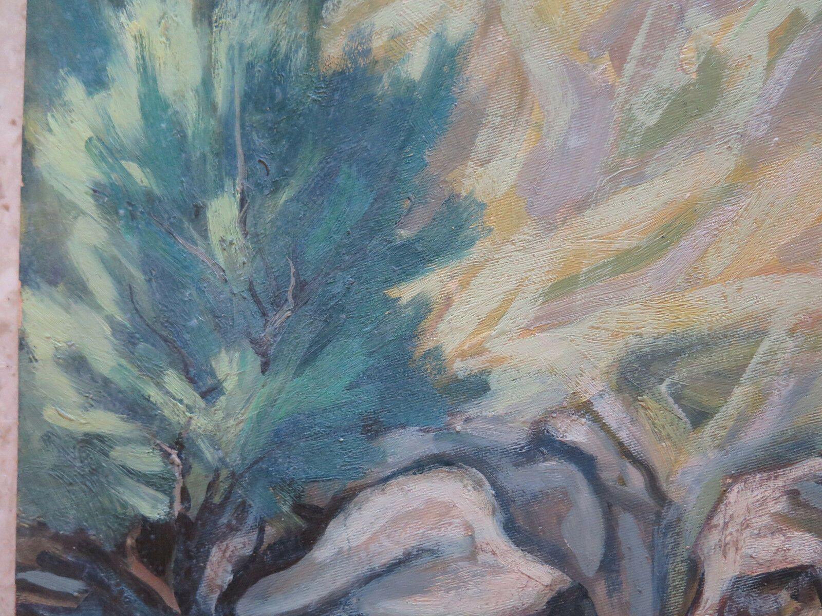 QUADRO ANTICO FIRMATO DIPINTO OLIO SU TAVOLA PAESAGGIO DI MONTAGNA GARANZIA p15 - Belbello Antiques