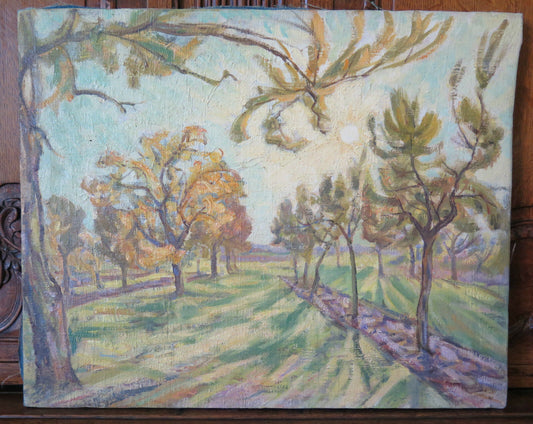 QUADRO ANTICO DIPINTO OLIO SU TELA PAESAGGIO ANNI CINQUANTA ORIGINALE p15