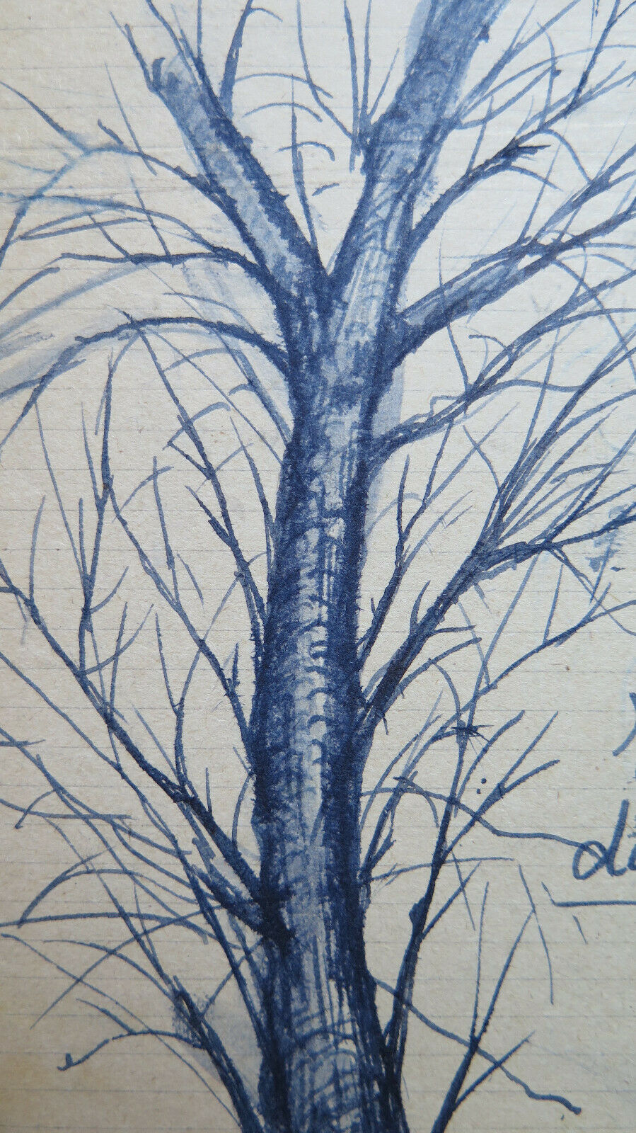 ANTIQUE SKETCH PEN ON PAPER 1940s DRAWING SKETCH TREE TRUNK P28.6