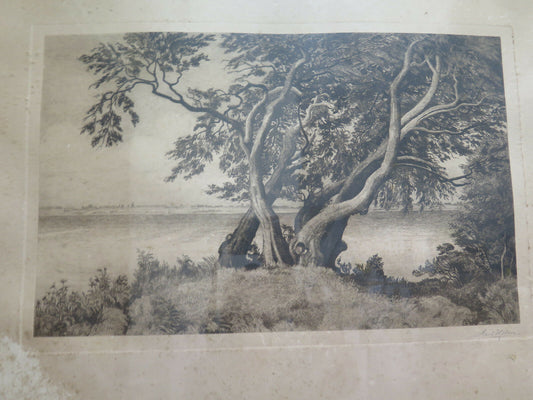 STAMPA ANTICA PAESAGGIO DI CAMPAGNA ALBERI FIRMATA AXEL HOLM VINTAGE PRINT R103 - Belbello Antiques