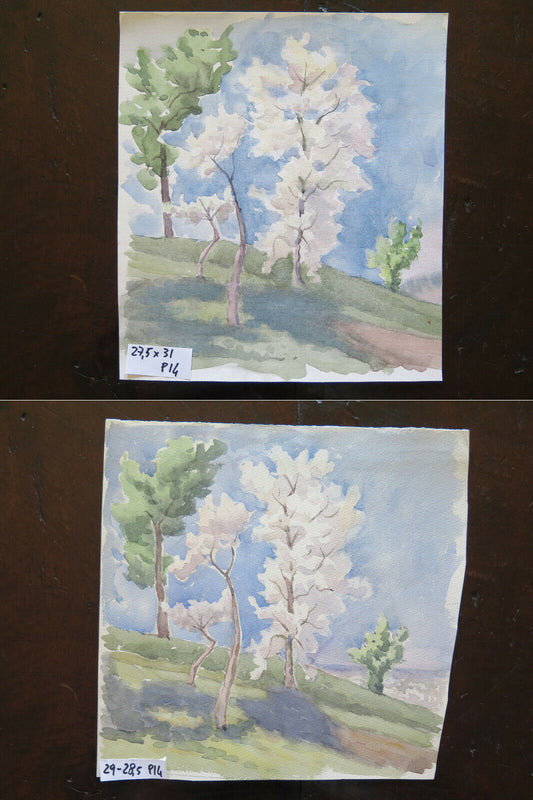 WATERCOLOR PAINTING ON PAPER SPRING LANDSCAPE WITH FLOWERING TREES P14