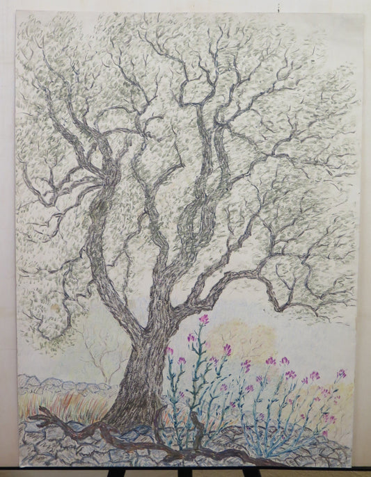 ANTIQUE DRAWING IN IMPRESSIONIST STYLE BEGINNING OF THE CENTURY LANDSCAPE TREES IN FLOWERING BM53.4
