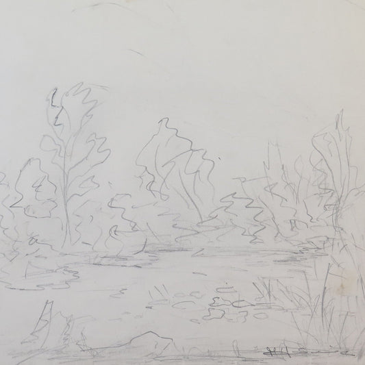 ANTIQUE DRAWING LANDSCAPE WOODS TREES FRANCE BEGINNING OF THE CENTURY PENCIL BM53.5C