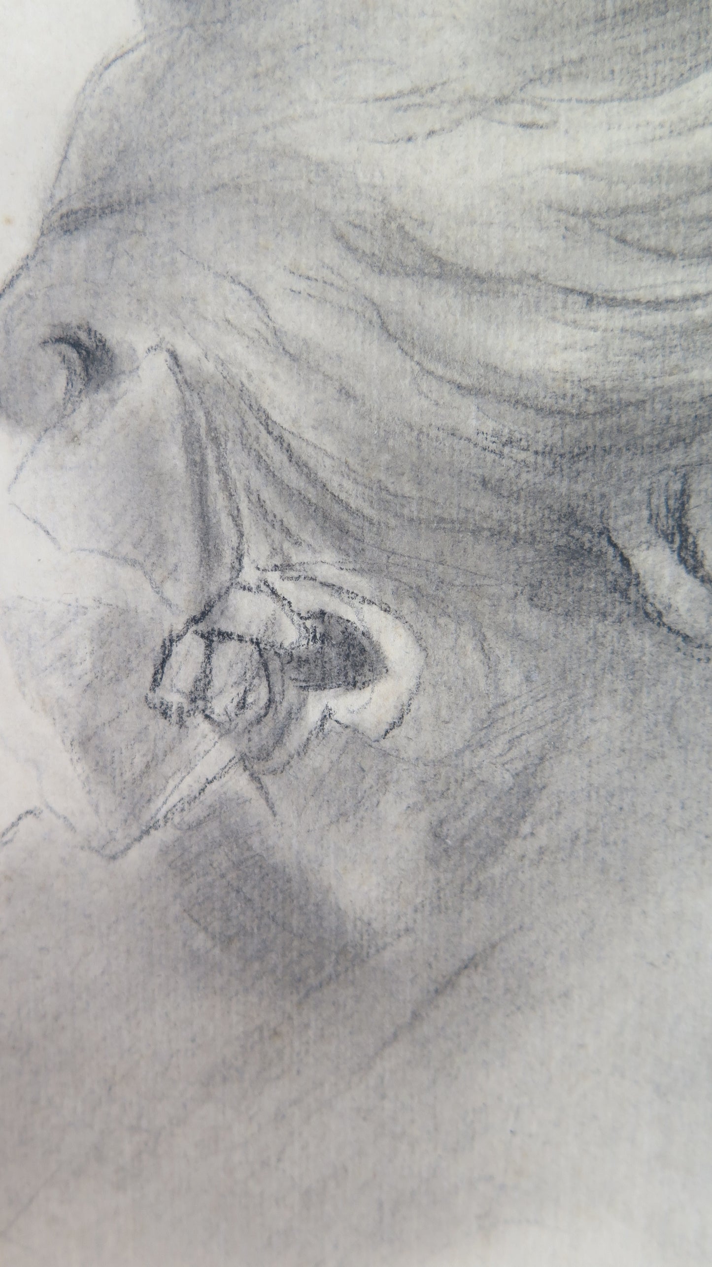 ANTIQUE DRAWING PORTRAIT OF A YOUNG WOMAN SIGNED PENCIL ON PAPER '900 BM53.5F